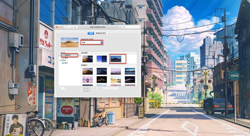 华为电脑壁纸怎么弄动态(华为电脑动态壁纸设置教程)