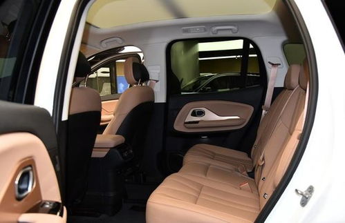 7座国产电动汽车多少钱(七座国产电动汽车价格解析)