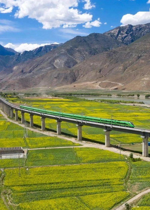 赣州到彭泽汽车票多少钱(赣州到彭泽汽车票价详解，一路的风景与旅途费用)