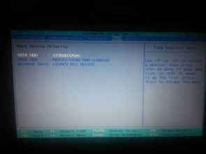 华为电脑打开word怎么是英文(华为电脑打开Word出现英文界面的解决方法)