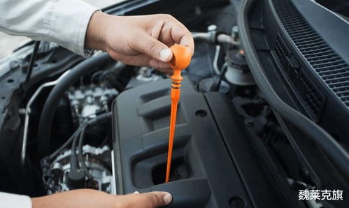 汽车机油一般不少于多少(汽车机油一般不少于多少—机油的重要性及其合理用量) 汽车机油一般不少于多少(汽车机油一般不少于多少—机油的重要性及其合理用量)