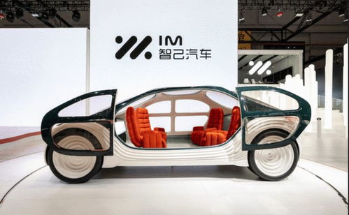 自平衡两轮汽车多少钱(自平衡两轮汽车的价格究竟是多少？