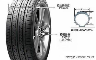 汽车轮胎最多有多少米长(汽车轮胎的长度极限，探索轮胎尺寸与技术的边界)