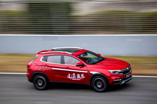 湖北麻城陆风汽车多少钱(湖北麻城陆风汽车价格概览)