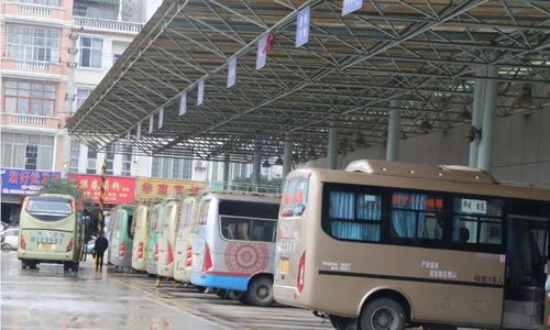 石龙汽车站到深圳多少钱(石龙汽车站至深圳票价详解,费用与行程的全方位解析) 石龙汽车站到深圳多少钱(石龙汽车站至深圳票价详解,费用与行程的全方位解析)