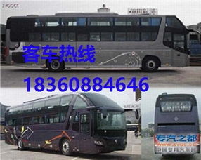 汽车总站到马田站多少钱(汽车总站到马田站的票价，探索公共交通的费用与选择)