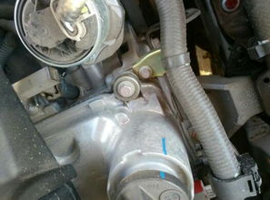 汽车发动机补螺丝多少钱(汽车发动机补螺丝的费用解析)