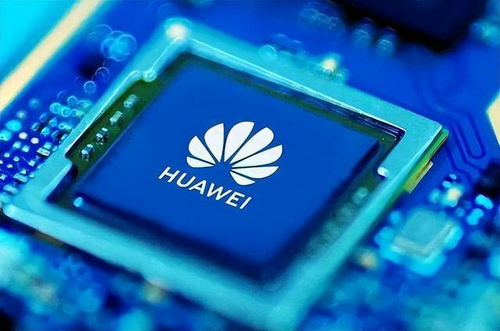 华为电脑怎么看顶楼信号(华为电脑如何查看顶楼信号—深度解析与实用指南)