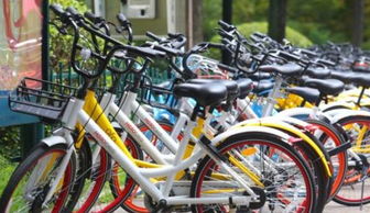 撞坏汽车的自行车多少钱(撞坏汽车的自行车价值究竟几何？