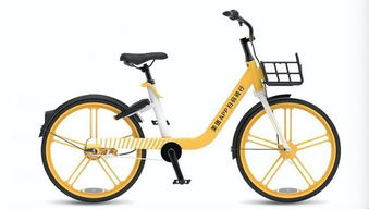 撞坏汽车的自行车多少钱(撞坏汽车的自行车价值究竟几何？