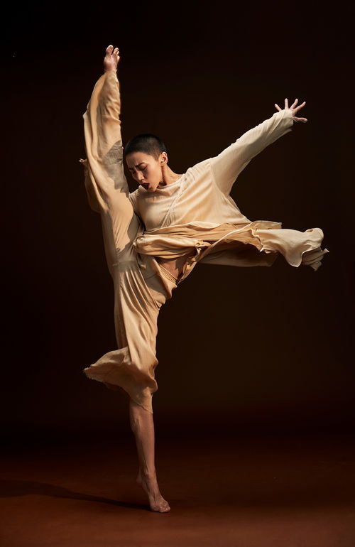 创音乐软件华为电脑怎么下载(华为电脑如何下载创音乐软件)