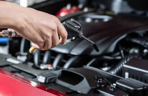 小汽车保养要加多少种油(小汽车保养所需加的油种类详解)