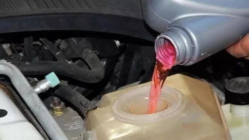 汽车排气管防锈吗多少钱(汽车排气管防锈及费用解析) 汽车排气管防锈吗多少钱(汽车排气管防锈及费用解析)