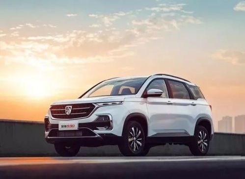 汽车皮套可用多少年时间(汽车皮套的使用寿命，多重因素下的综合考量)