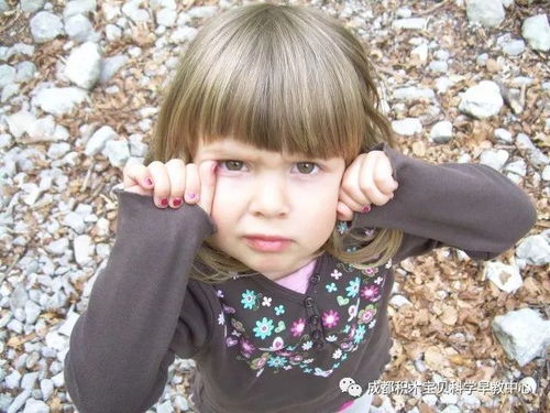 女子因姓名同音2年内屡遭传唤(女子因姓名同音遭传唤，无辜与误解的纠缠)