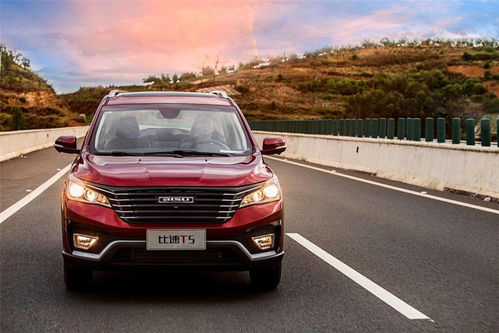 4米8汽车有多少万公里(揭秘，关于一辆4米8汽车的万公里历程)