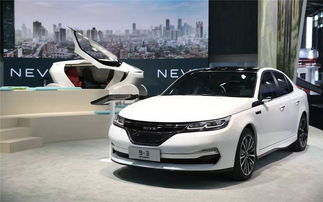 电动汽车加多少克氟化锂(电动汽车加多少克氟化锂，探究与解析)