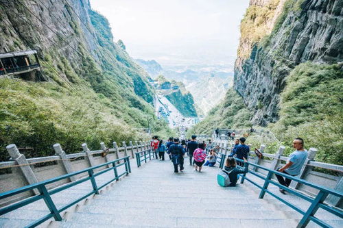 张家界汽车到深圳多少钱(张家界至深圳汽车票价详解，多少钱，怎么选择最优方案？