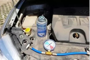 汽车制冷剂软管用多少年(汽车制冷剂软管的使用寿命及其影响因素)