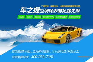 汽车空调空气净化多少钱(汽车空调空气净化费用解析)