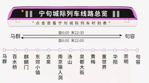 宁晋到深泽汽车票多少钱(宁晋到深泽汽车票价详解)