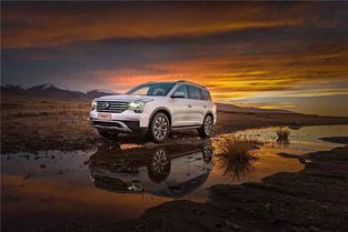 中国汽车最高价格多少辆(中国汽车最高价格多少辆，豪华车的市场现状与发展趋势)