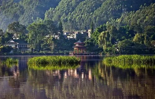 蒙自汽车城门牌号多少(蒙自汽车城门牌号详解)