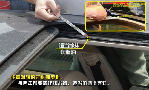汽车天窗被砸个洞多少钱(汽车天窗被砸个洞，维修费用知多少？