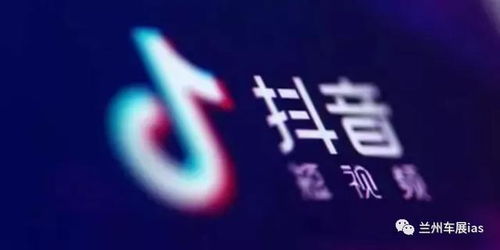 抖音汽车网红粉丝数多少(抖音汽车网红粉丝数揭秘，数字背后的影响力与趋势分析)