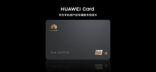 华为nm卡怎么装电脑上(华为NM卡如何安装到电脑上，详细步骤与注意事项)