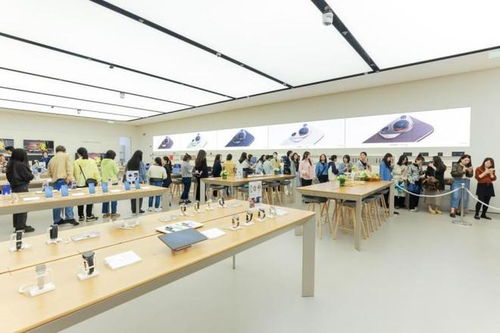 珠海华为电脑拍照怎么样(珠海华为电脑拍照体验，科技与美学的完美结合)