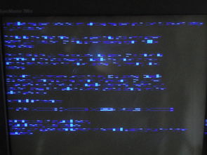 华为电脑点软件黑屏怎么解决(解决华为电脑点软件后出现黑屏问题的方法)