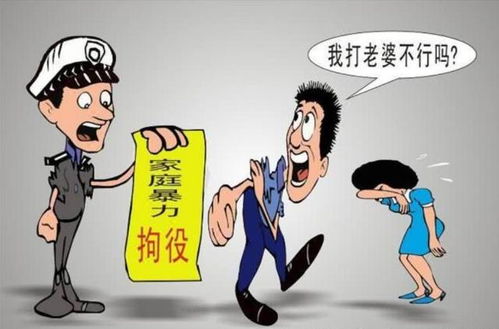 一桩“婚内强奸案”背后(婚内强奸案背后的故事，对家庭、法律与人性的深度思考)