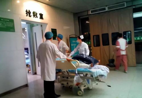 医生解读被咬身亡女子医院死亡记录(医生解读被咬身亡女子医院死亡记录) 医生解读被咬身亡女子医院死亡记录(医生解读被咬身亡女子医院死亡记录)