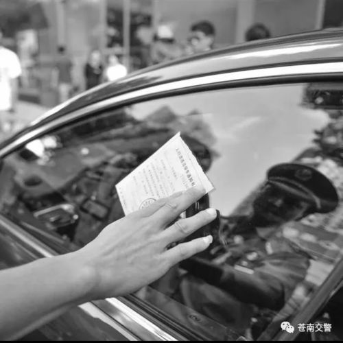 汽车压人行横道扣多少分(汽车压人行横道罚款扣分详解)