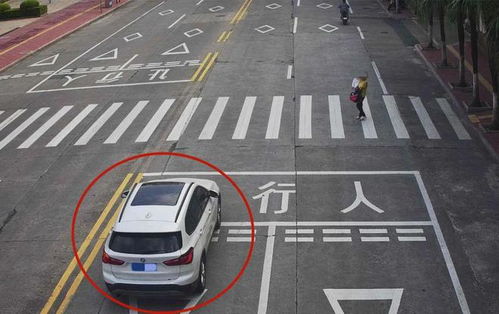 汽车压人行横道扣多少分(汽车压人行横道罚款扣分详解)