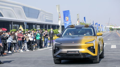 洛阳汽车兵55团多少人(洛阳汽车兵55团的人数概况)