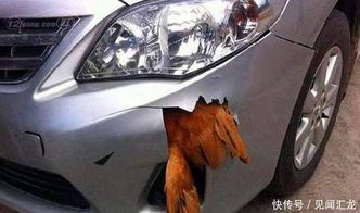 汽车改保险杠灯光多少钱(汽车改保险杠灯光费用详解)