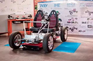 一辆汽车能装多少头猪仔(一辆汽车能装多少头猪仔？探究运输限制与合理装载)