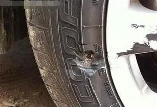 汽车轮胎侧面补多少钱(汽车轮胎侧面修补费用详解)
