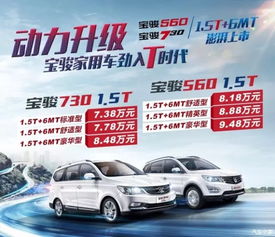 洛阳烧汽车多少钱一台(洛阳烧汽车价格解析，究竟多少钱一台？
