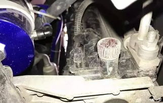 汽车暖风水箱里加多少水(汽车暖风水箱加水指南,如何正确添加汽车暖风水箱的水量) 汽车暖风水箱里加多少水(汽车暖风水箱加水指南,如何正确添加汽车暖风水箱的水量)