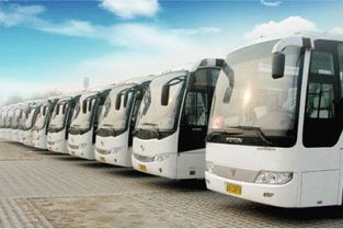 长春租赁汽车多少钱一辆(长春租赁汽车价格概览，多少钱一辆？