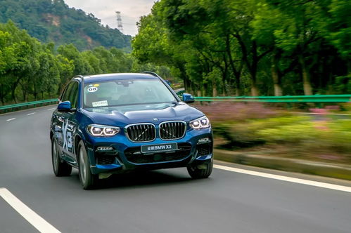 荣放6月汽车销量榜多少(荣放车型在6月汽车销量榜上的表现)