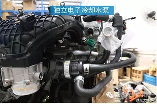 汽车发动机减震套多少钱(汽车发动机减震套价格解析,多少钱才是合理的? 汽车发动机减震套多少钱(汽车发动机减震套价格解析,多少钱才是合理的?