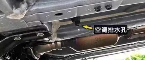 汽车检查排水口多少钱(汽车检查排水口价格解析)