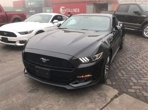 余姚野马汽车多少钱一台(余姚野马汽车价格解析)