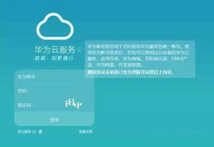 华为电脑怎么查开机启动app(华为电脑如何查看开机启动的应用程序)