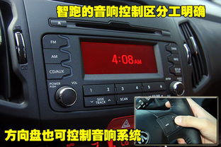 起亚汽车面板多少钱一个(起亚汽车面板价格解析，多少钱一个？