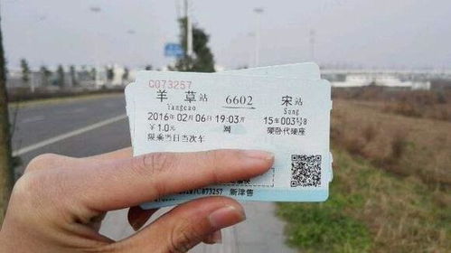 阆中到西山汽车票多少钱(阆中到西山汽车票价详解，费用、行程与更多信息)